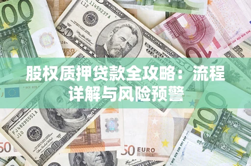 北京股权质押贷款全攻略：流程详解与风险预警