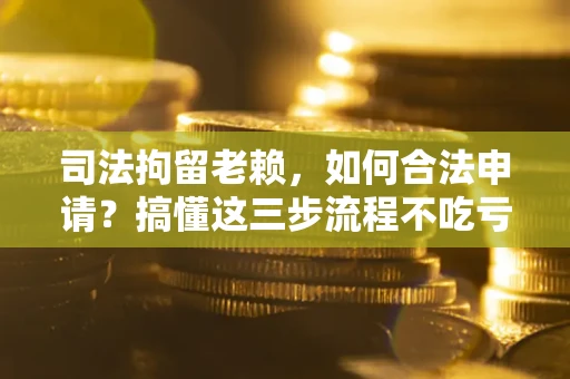 北京司法拘留老赖，如何合法申请？搞懂这三步流程不吃亏！