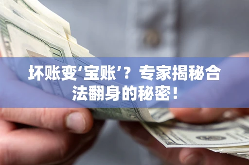 北京坏账变‘宝账’？专家揭秘合法翻身的秘密！