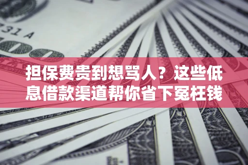 北京担保费贵到想骂人？这些低息借款渠道帮你省下冤枉钱