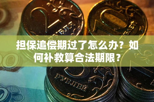 北京担保追偿期过了怎么办？如何补救算合法期限？