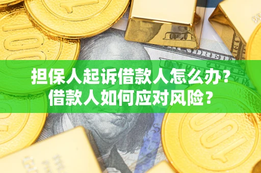 北京担保人起诉借款人怎么办？借款人如何应对风险？