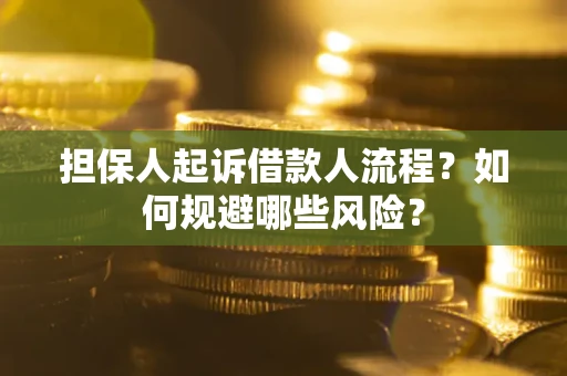 北京担保人起诉借款人流程？如何规避哪些风险？