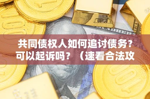 北京共同债权人如何追讨债务？可以起诉吗？（速看合法攻略）