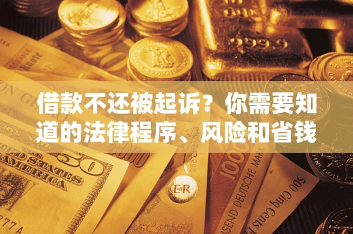 北京借款不还被起诉？你需要知道的法律程序、风险和省钱技巧
