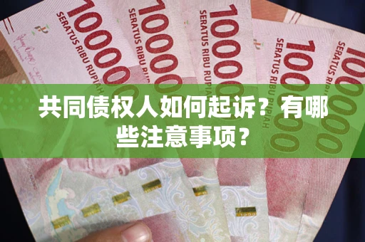 北京共同债权人如何起诉？有哪些注意事项？
