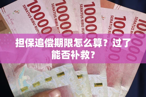 北京担保追偿期限怎么算？过了能否补救？